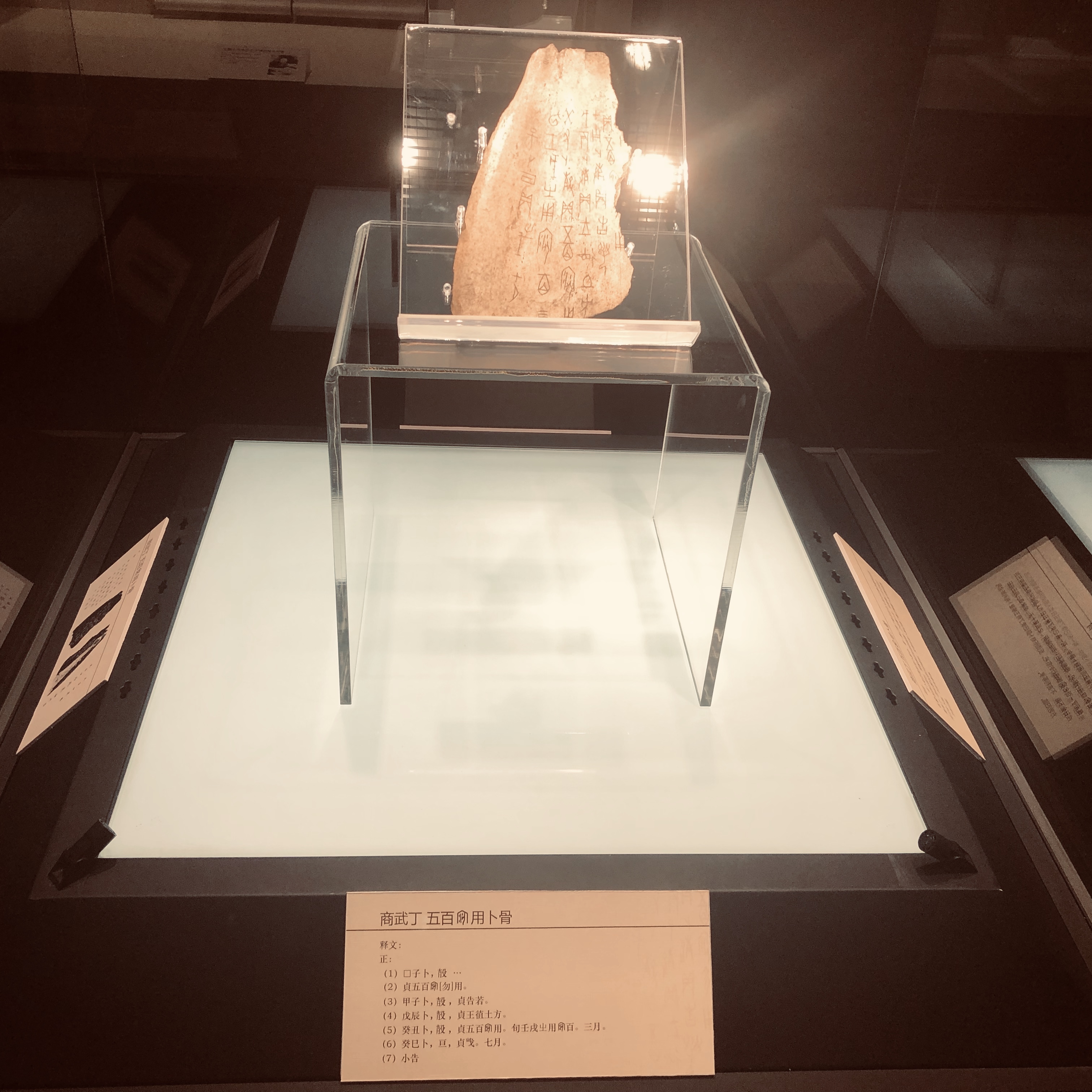 中国博物館⑦ ため込む