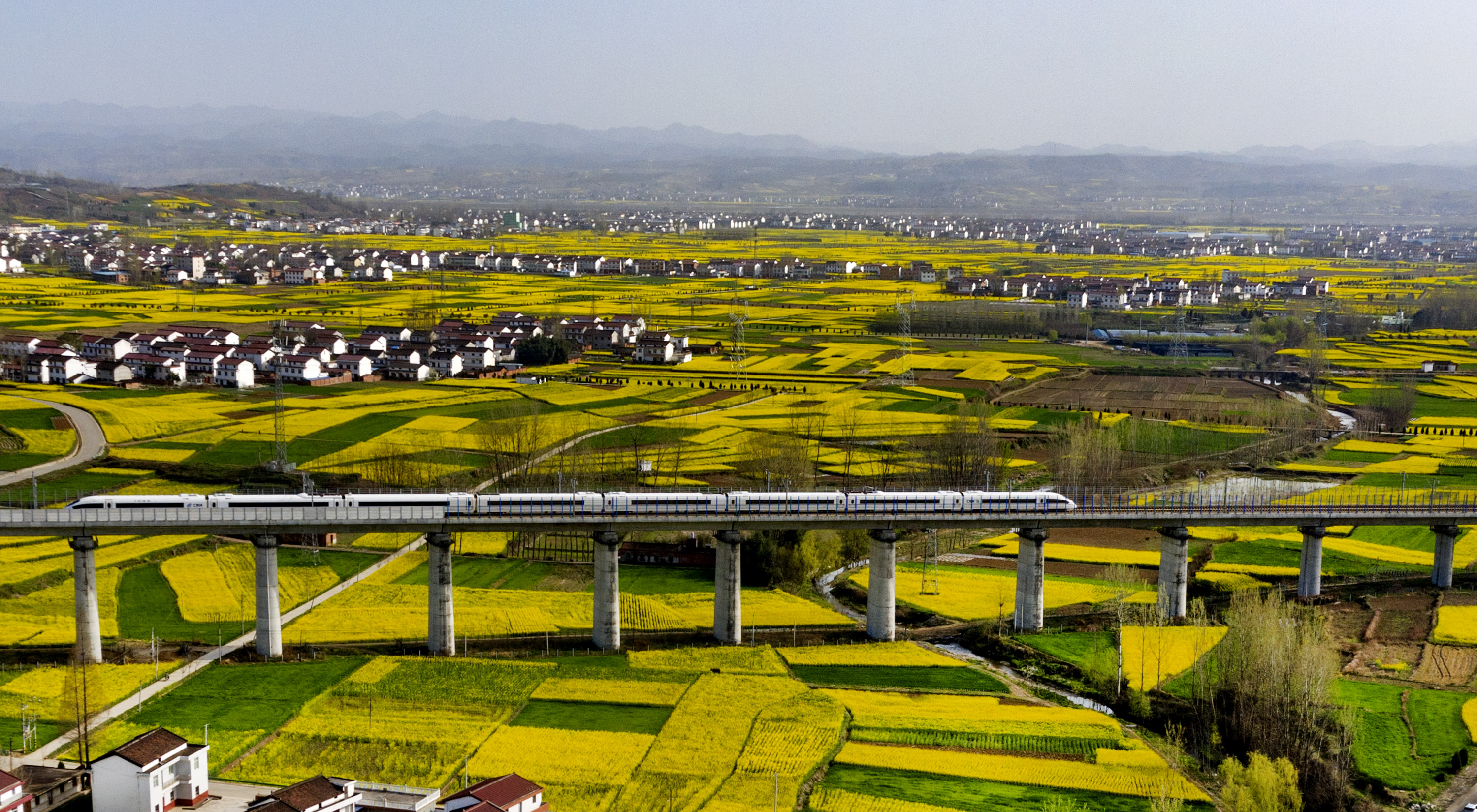 近日,秦岭南麓的陕西省汉中市洋县14万亩油菜花竞相开放,美景如画.