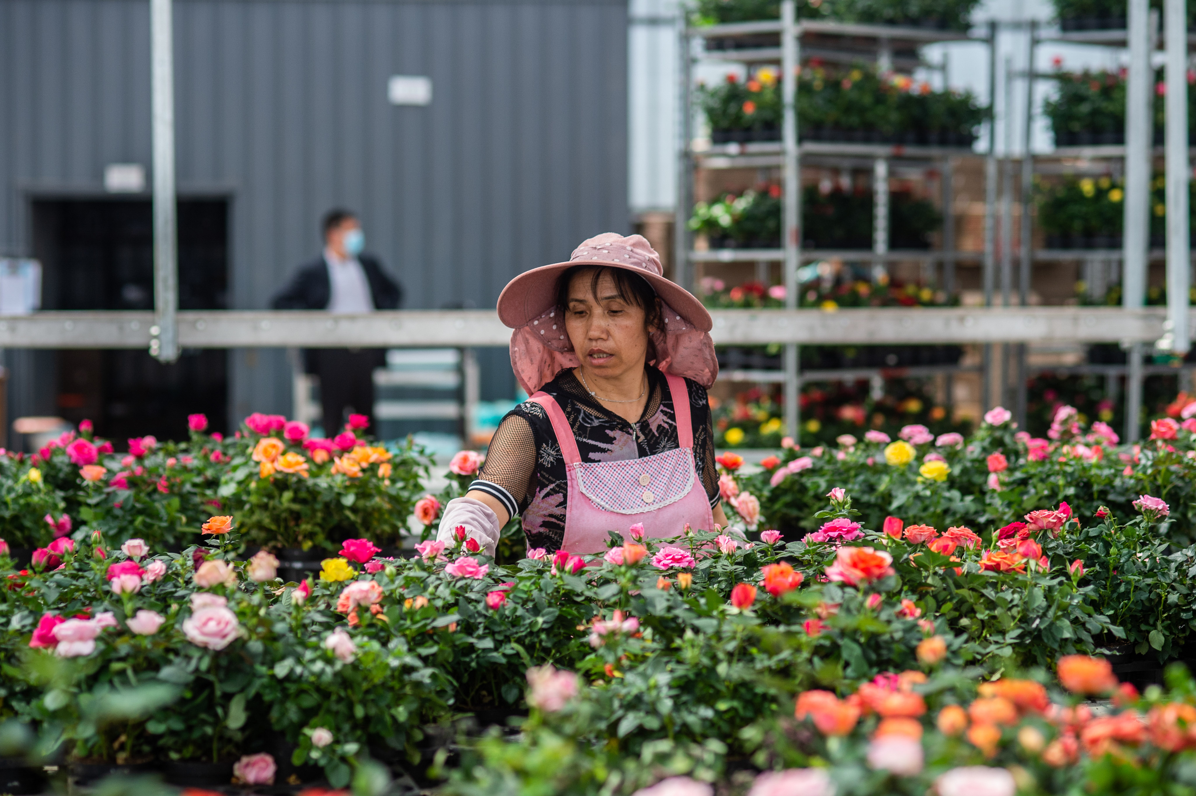 2019年晋宁区花卉园艺种植面积达5.39万亩.