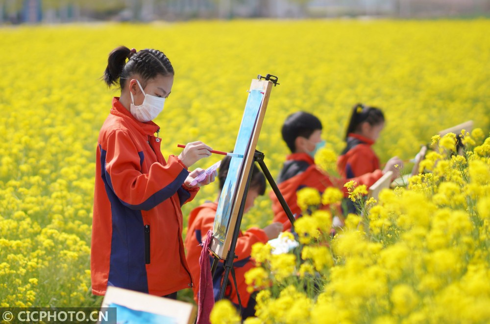 河北省邢台市内丘县大良村小学的学生在油菜花田中写生.