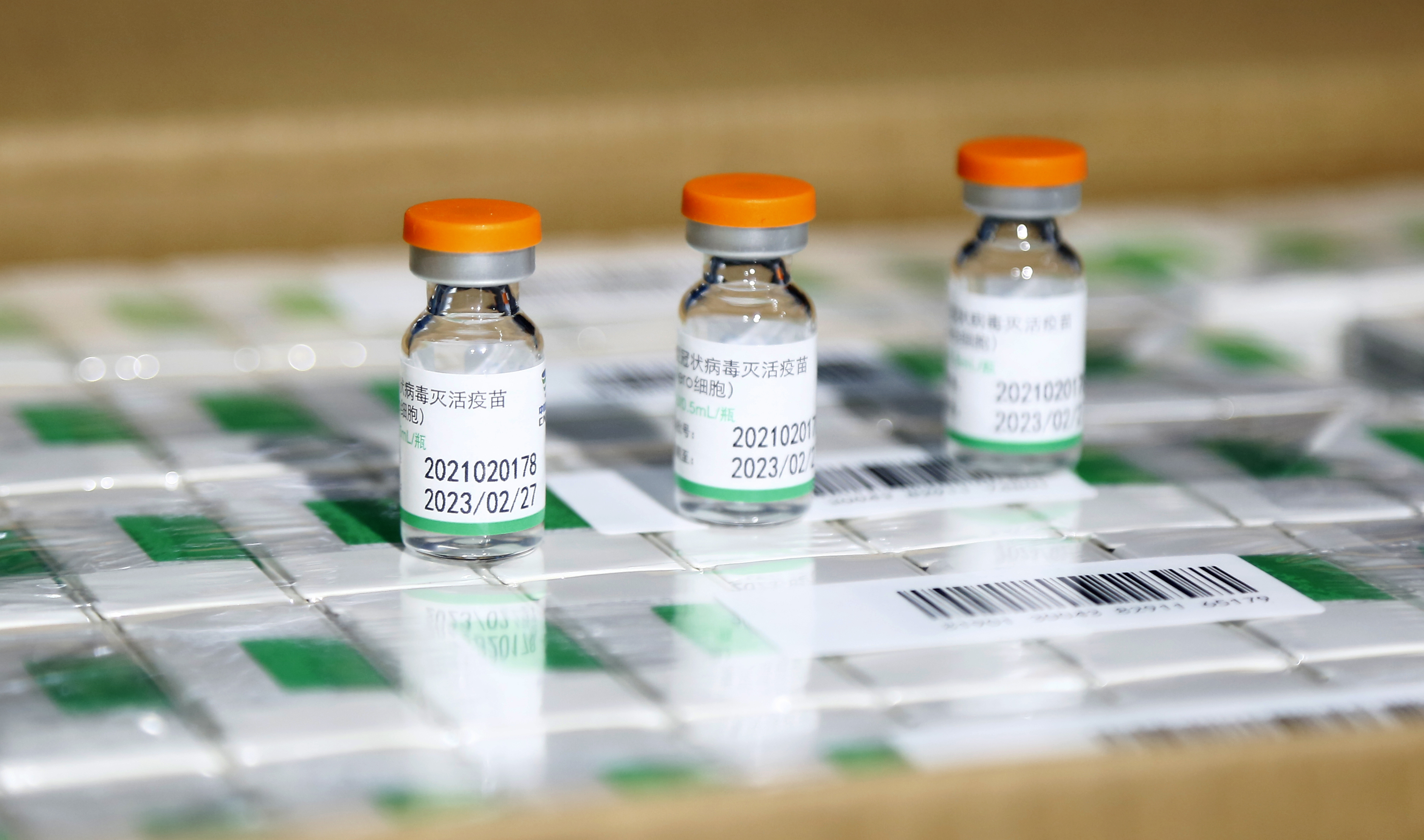 (国际疫情)格鲁吉亚从中国采购的首批新冠疫苗运抵格首都